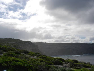 Australia By the sea