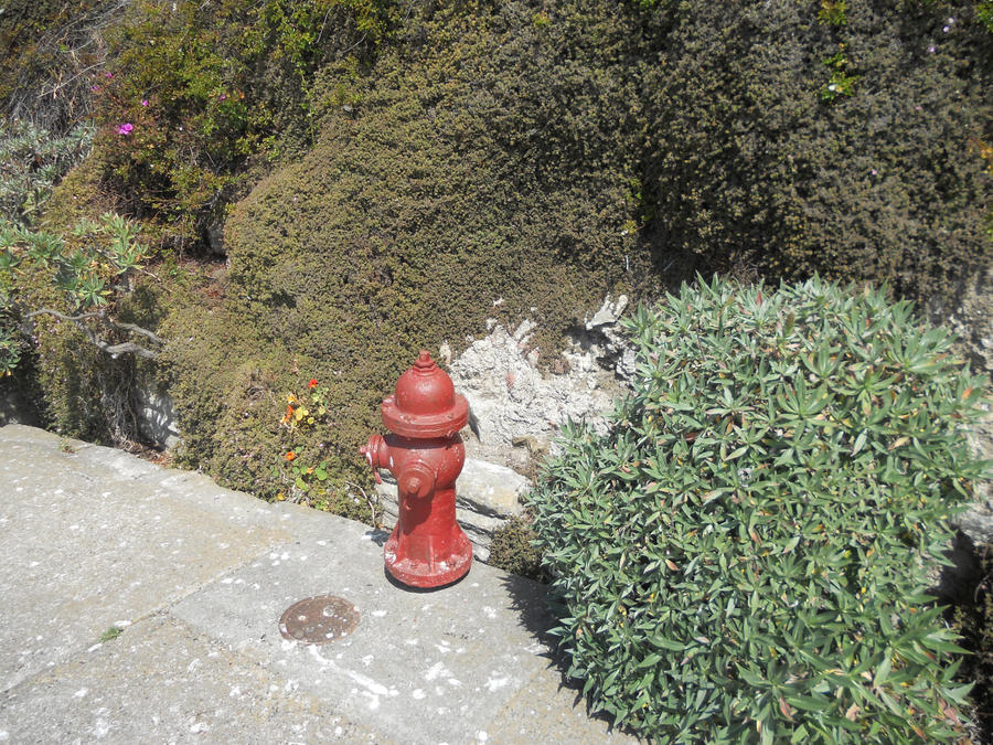 Alcatraz Hydrant