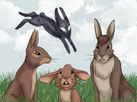 Watership Down