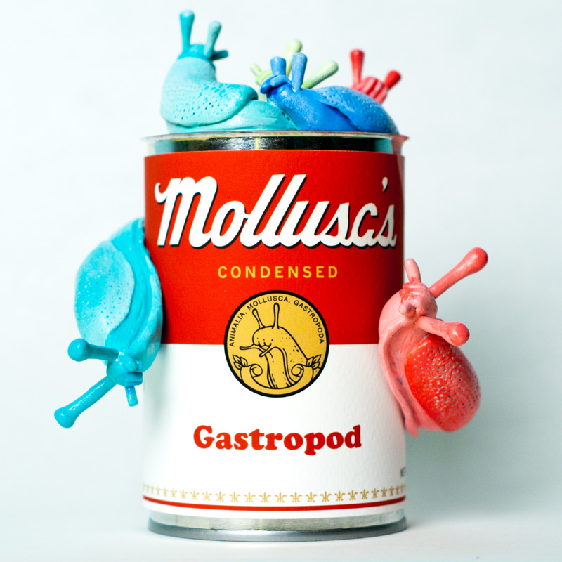 Mollusc's Condensed Gastropod