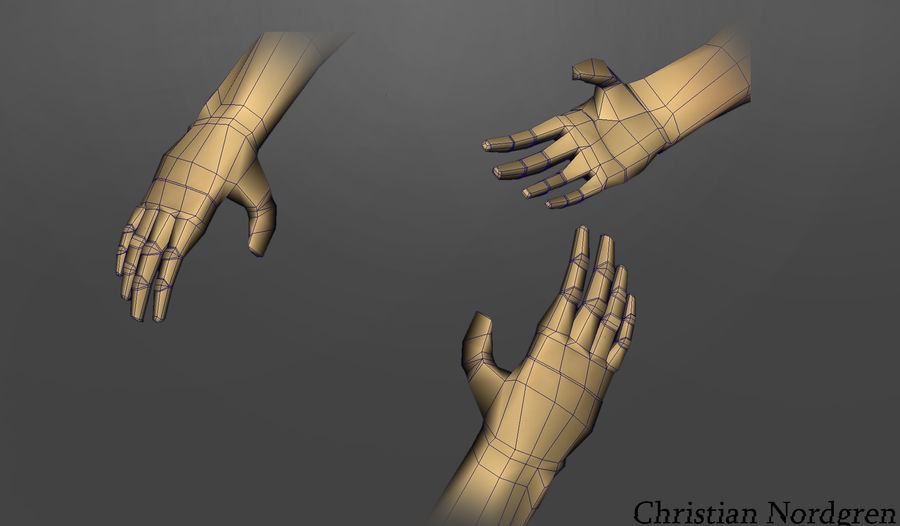 Hand Type Rendering Examples Human render hand by HerrRaev on DeviantArt