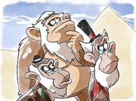 The Monkey!