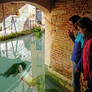 Mermaids Are Hiding in The Waters of Venice