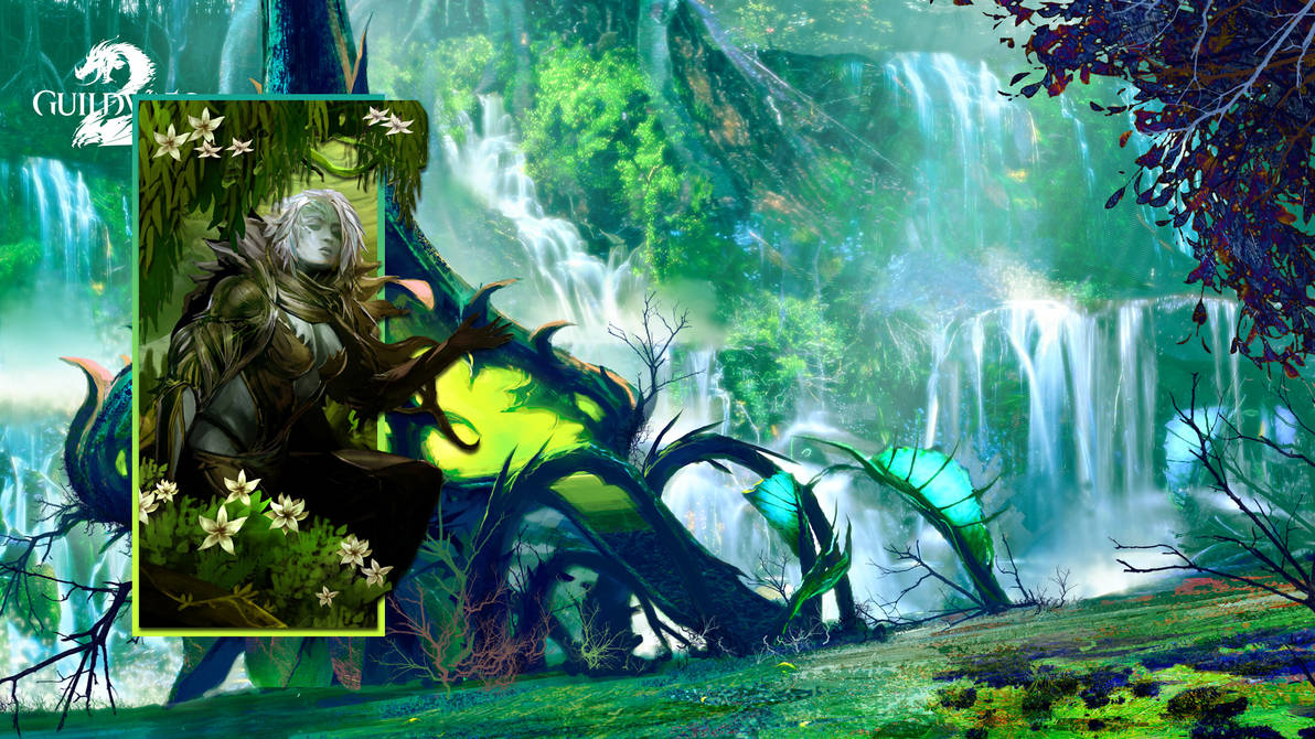 Sylvari Guild Wars 2 Sylvari Wallpaper by RandommUser on DeviantArt
