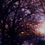 into the night