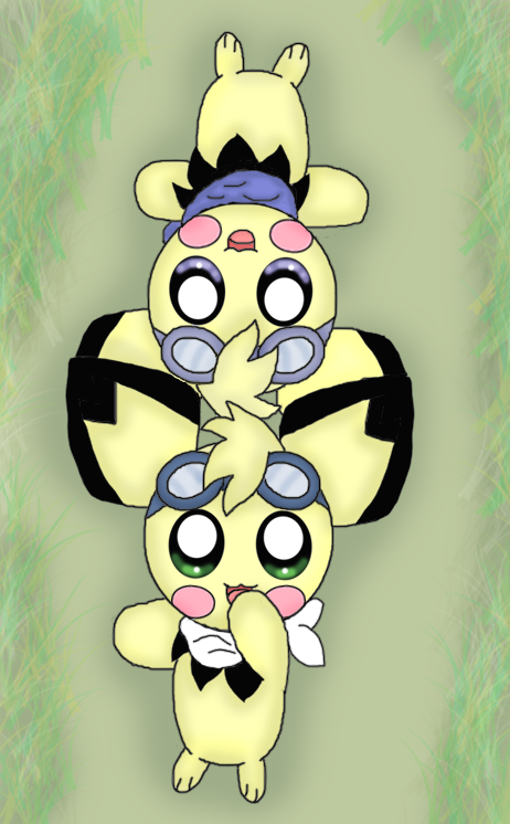 poke Twin brothers