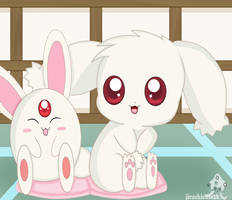 mokona and wiz