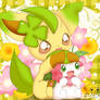 Leafeon and Shaymin