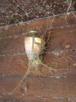 Spider Web Covered Light 2 by loopyker-stock
