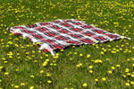 Picnic Blanket in Field 2
