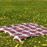 Picnic Blanket in Field 3