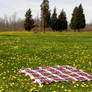 Blanket in Field Background 4