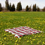 Blanket in Field Background 5