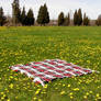 Blanket in Field Background 5