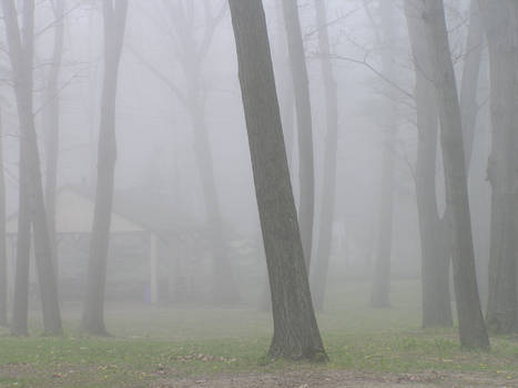 Foggy Background 2