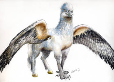 Hippogriff