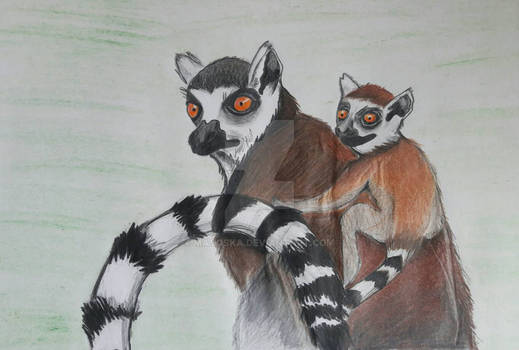 lemur