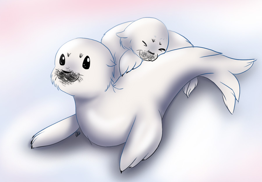 Seal Pups