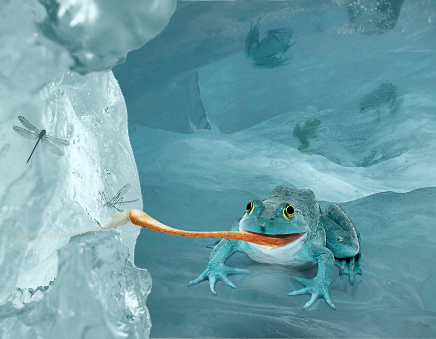 Age Of Toads Ice by Reborns on DeviantArt