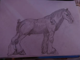 Horse