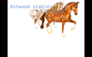 Ashwood Stables Heartland - Breyer stables