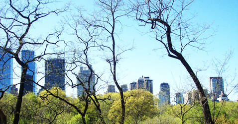 City From Central Park