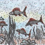 Media Mixta Piscis