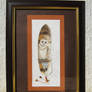 Barn Owl feather framed