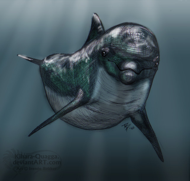 Dolphin SpeedArt