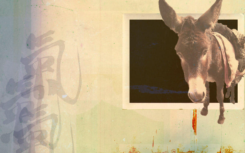 Dunkey Texture Donkey texture by Agrid on DeviantArt