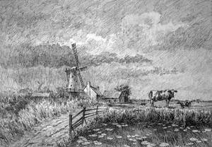 Dutch Landscape