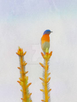 Spring 'Watercolor' Bird #1