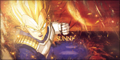 Vegeta Signature