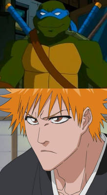 Leonardo TMNT 2003 and Ichigo kurosaki