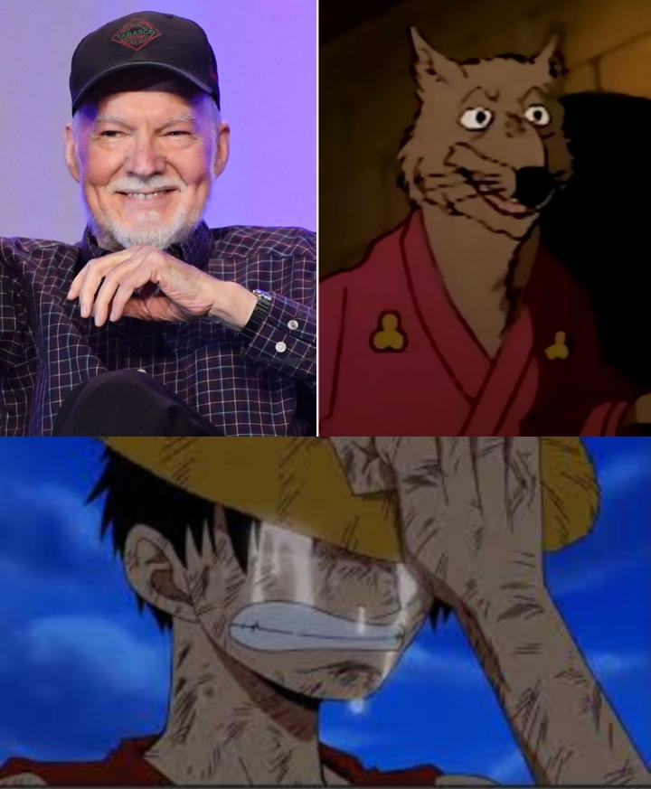 Luffy Crying For Peter Renaday And Master Splinter by edwinabesia on ...