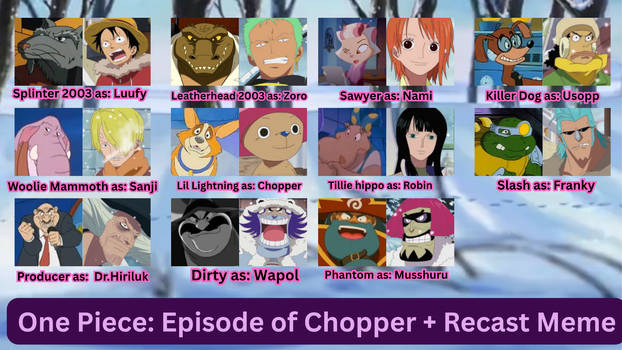 One Piece: The Miracle Winter Cherry Blossom 2008