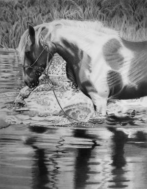Water Horse by joniwagnerart