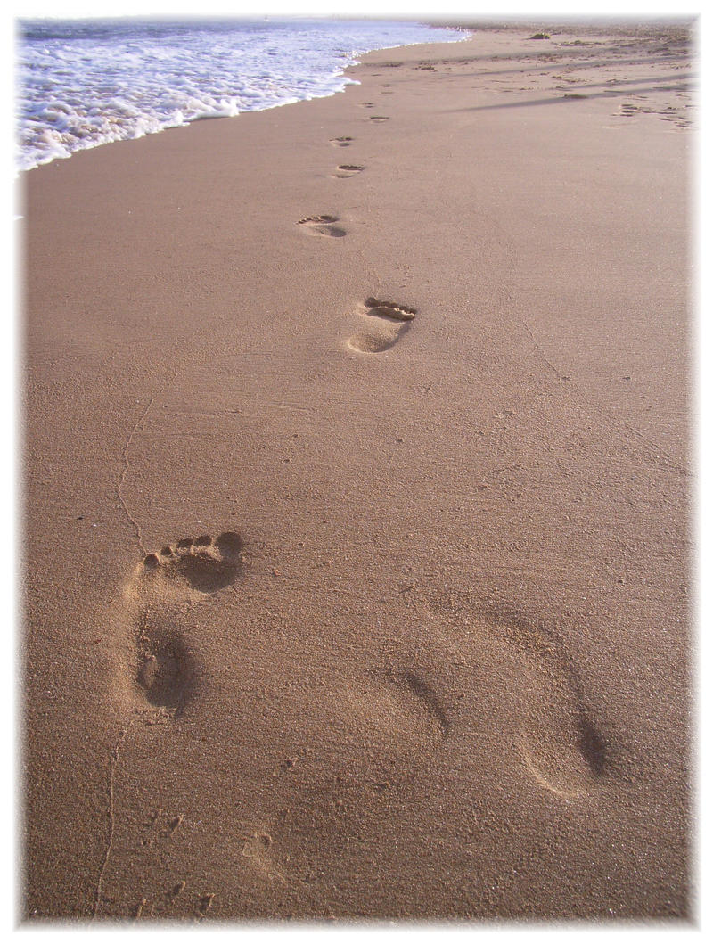 footprints2