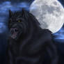 Howl For Full Moon