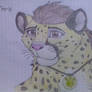 Cheetah Chris Kratt