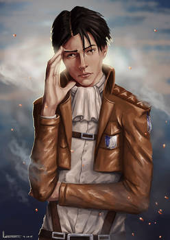 Levi