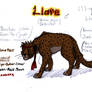 Character Sheet: Llare