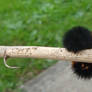 Wooly Bear