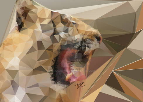 Rawrrrr!! Low POLY!