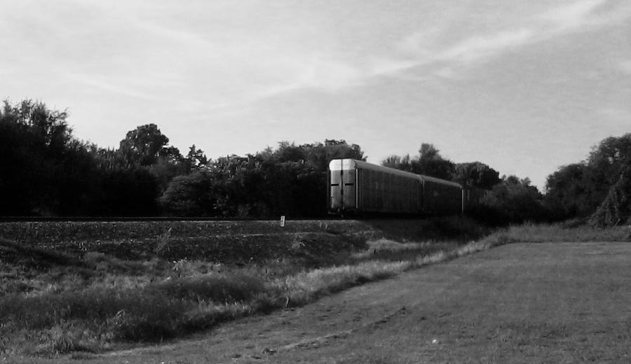 Goodbye Train by CrimsonSakura12 on DeviantArt
