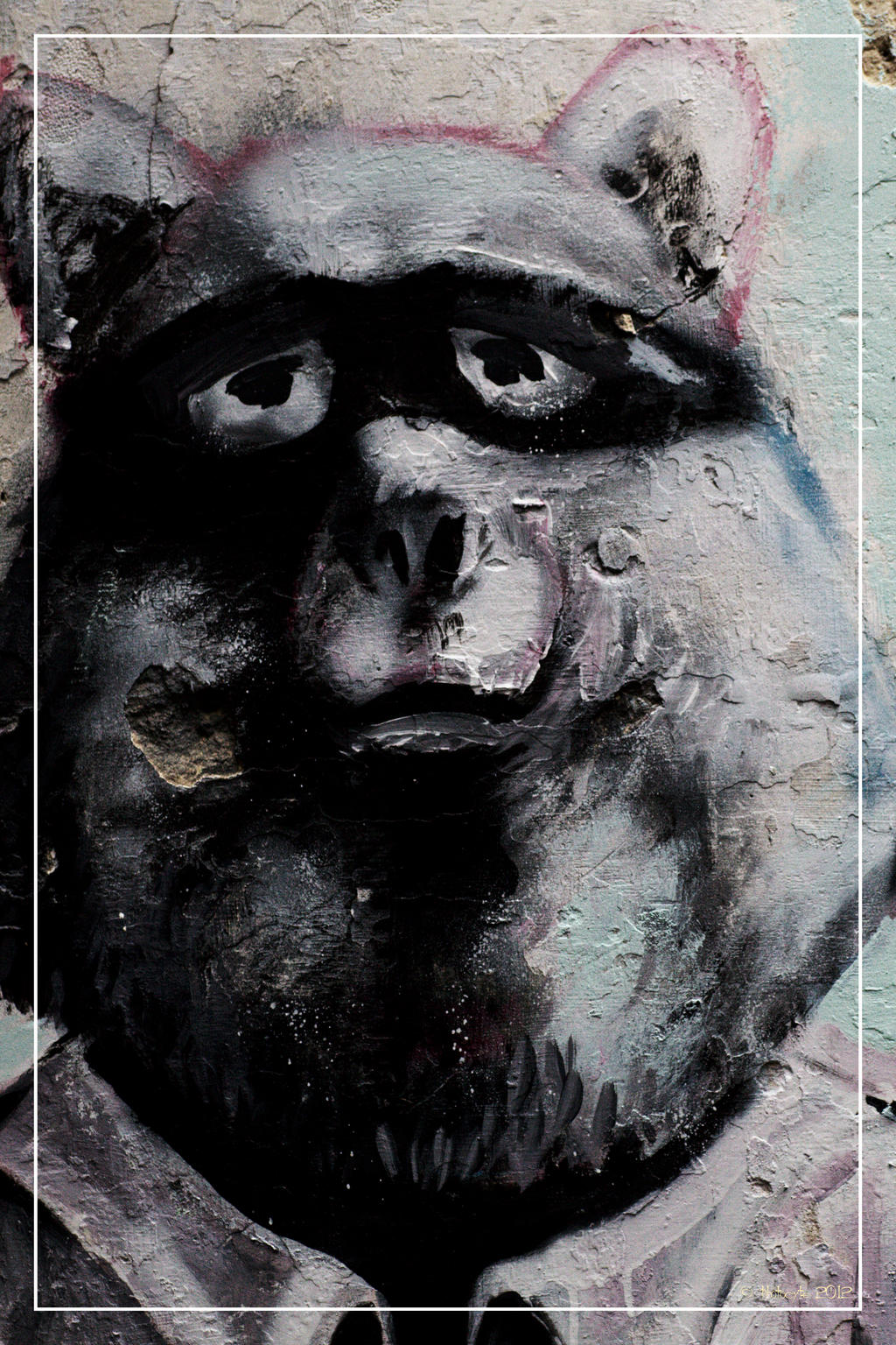 Fat racoon? by 0-Photocyte on DeviantArt