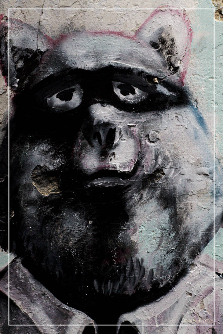 Fat racoon? by 0-Photocyte on DeviantArt