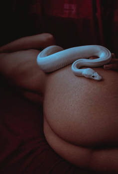 Sleeping Serpent