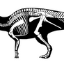 Edmontosaurus Annectens / Skeletal