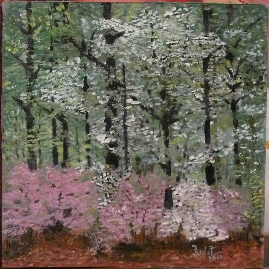 Forest in spring